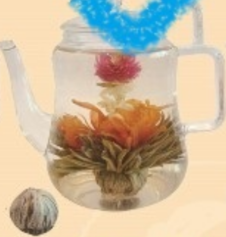 Tea Flowers / Blooming Teas